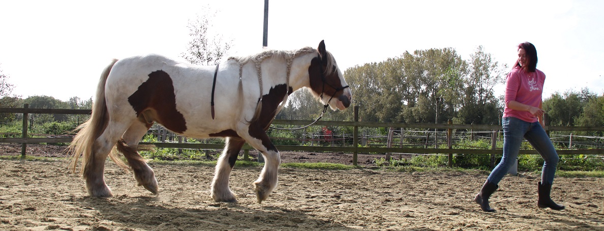 Ik met paard